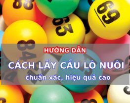 Hướng dẫn cách lấy cầu lô chuẩn xác, hiệu quả