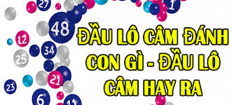 dau-lo-cam-hay-ra-con-gi